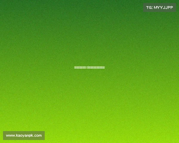 多特蒙德崛起之路 德甲豪门的辉煌与挑战解析 多特蒙德崛起之路 德甲豪门的辉煌与挑战解析